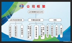 我有好项目寻找志同道合的朋友一起致富