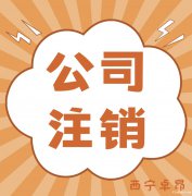 青海公司注销需要经历哪些流程